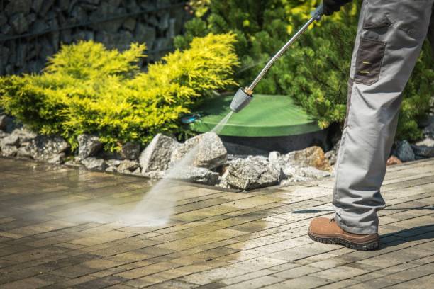 Best Gas Station Cleaning  in St Michael, MN