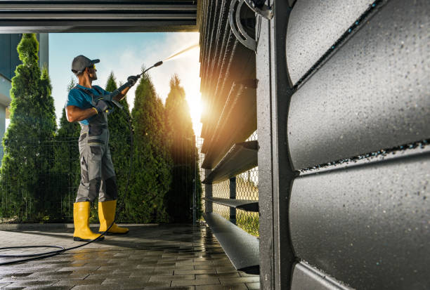Best Fleet Vehicle Washing  in St Michael, MN